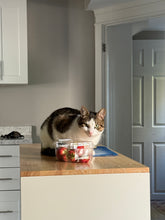 Load image into Gallery viewer, STRAWBERRY LIP CONDITIONER - PRE ORDER